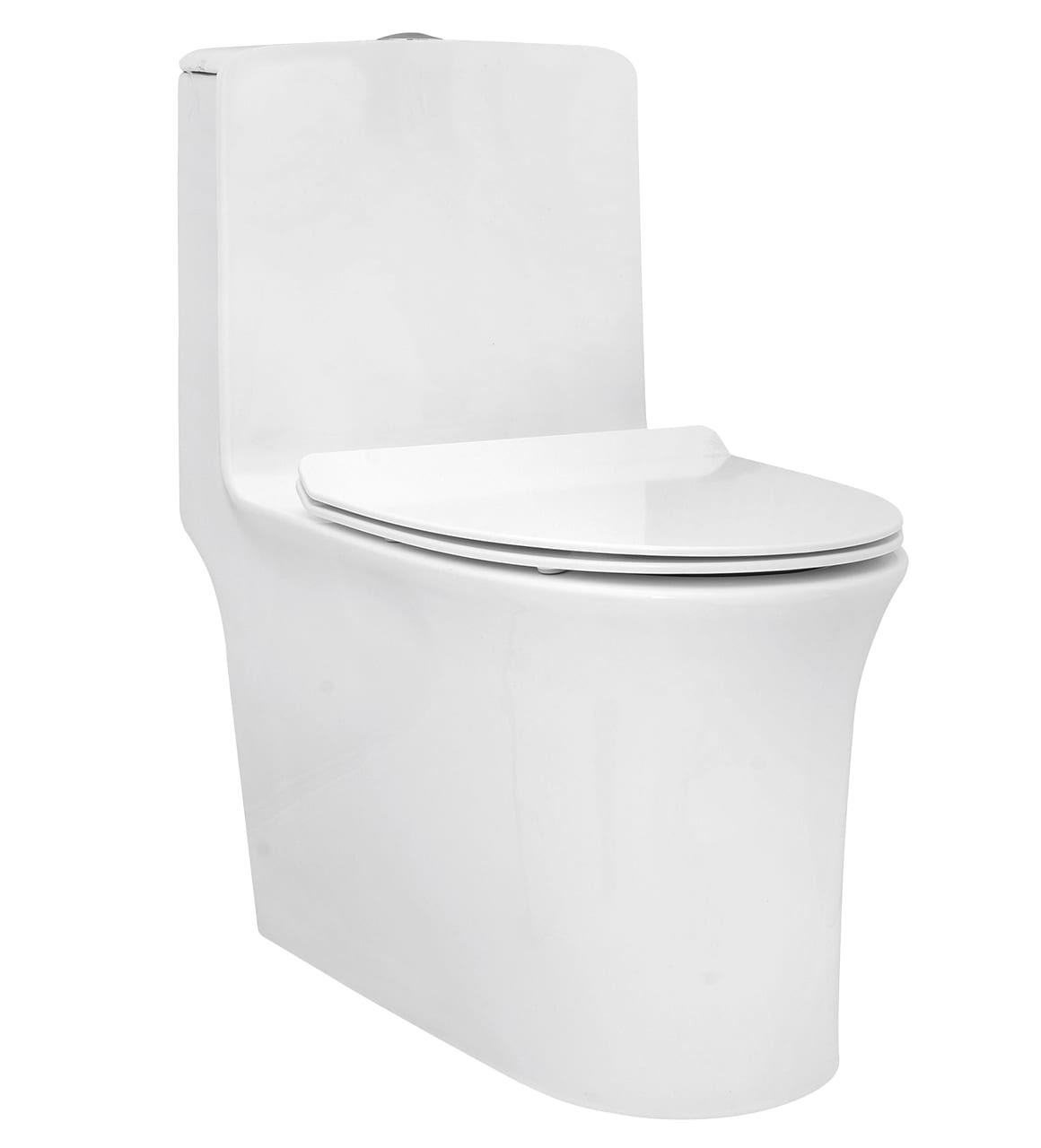 Single Piece WC WHITE AQUILINE C890146 Parryware