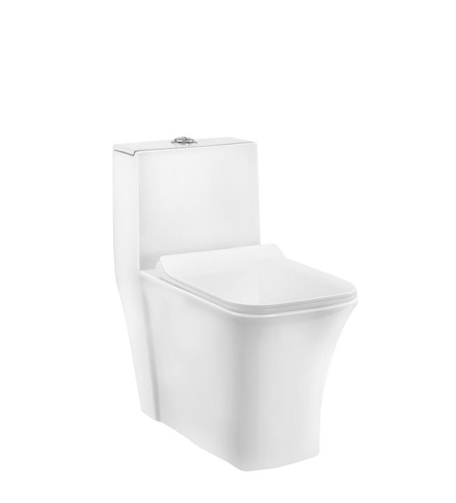 Single Piece WC (C893X46) | Parryware