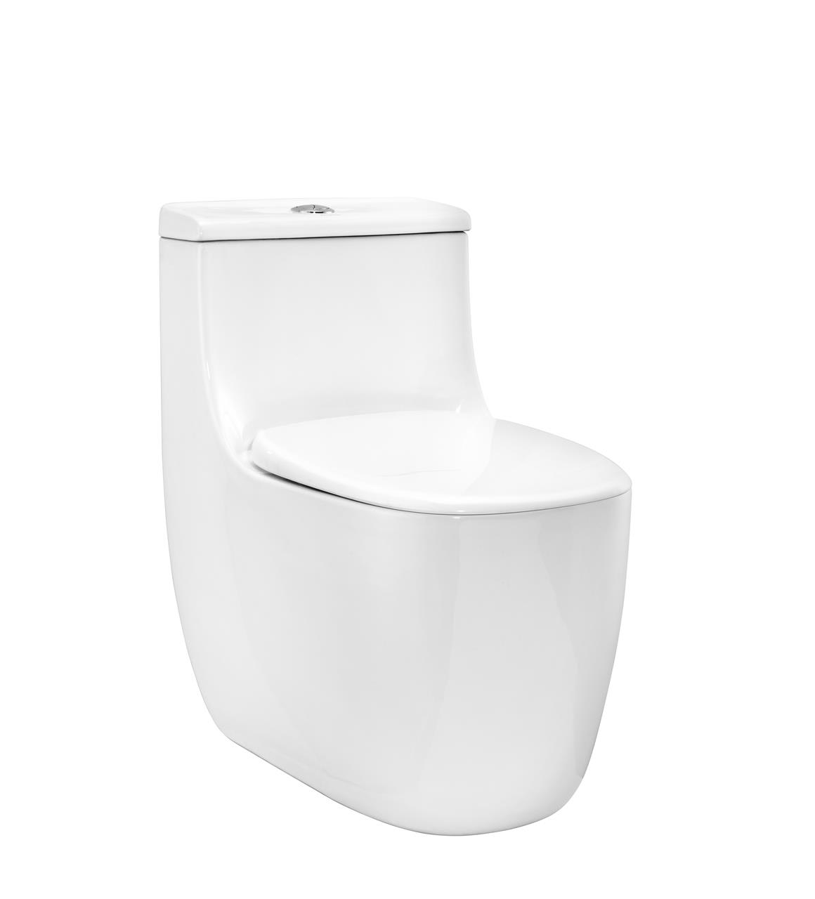 Single Piece WC WHITE CALYSTA C822A46 Parryware