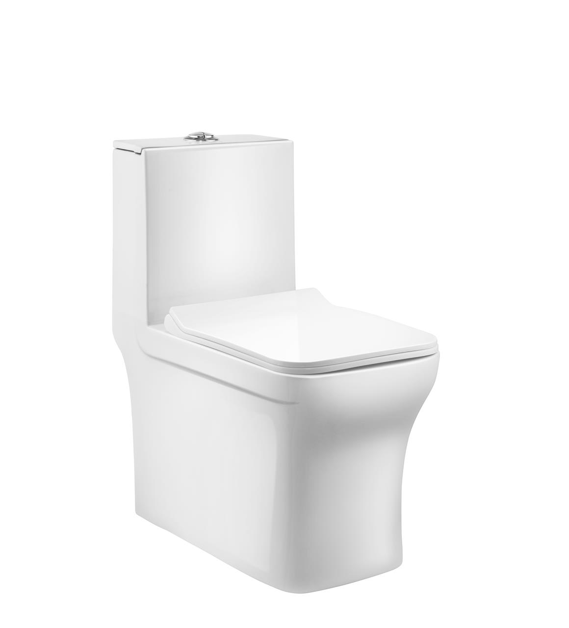 Single Piece WC WHITE CLARET C863346 Parryware