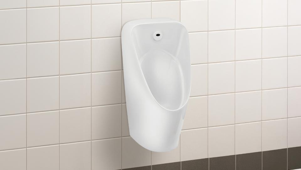 Single Piece WC (C863346) | Parryware